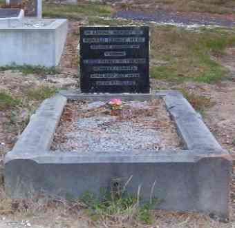 Full-size image