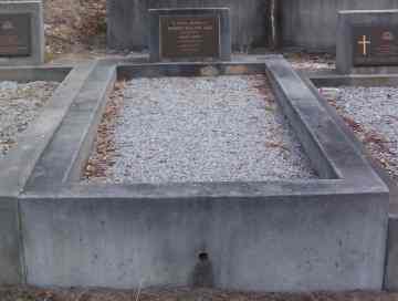 Full-size image