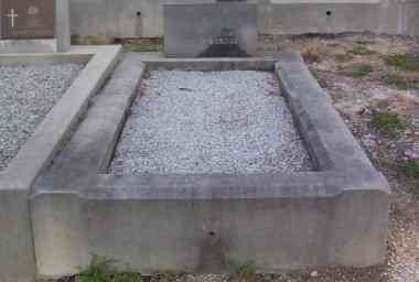 Full-size image