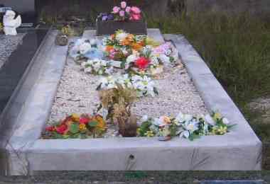Full-size image
