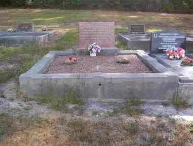 Full-size image