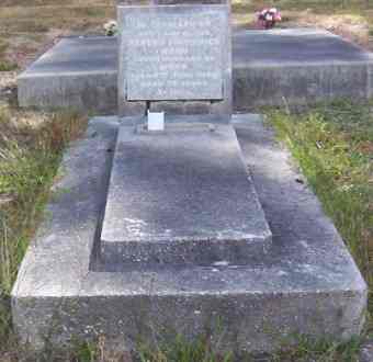 Full-size image