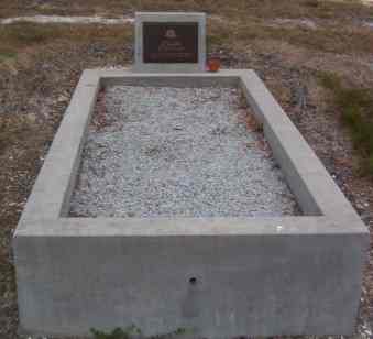 Full-size image