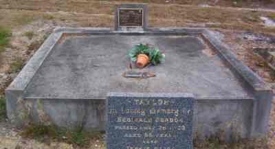 Full-size image