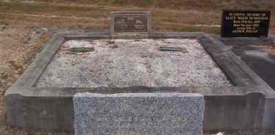 Full-size image