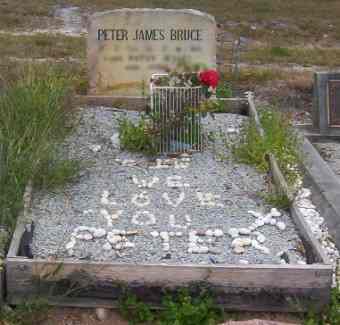 Full-size image