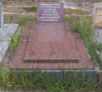 Full-size image