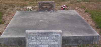 Full-size image