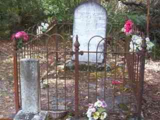 Full-size image