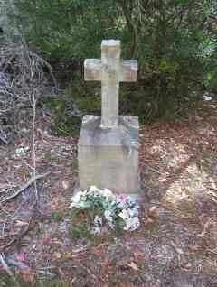 Full-size image