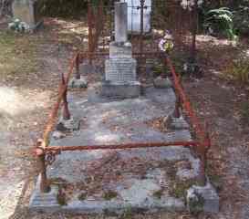 Full-size image