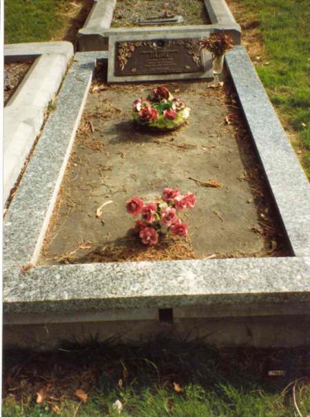 Full-size image