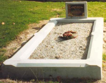 Full-size image