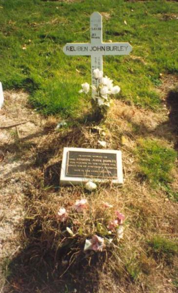Full-size image
