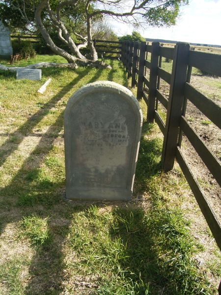 Full-size image