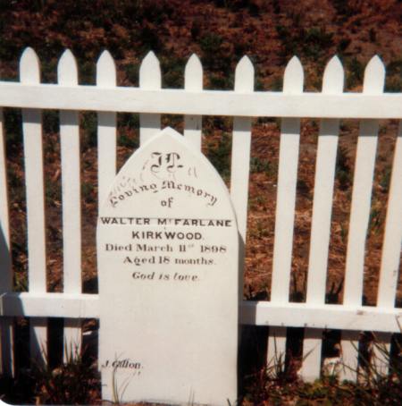 Full-size image