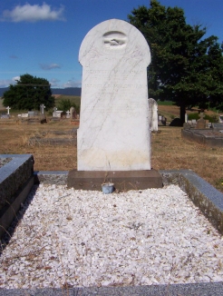 Full-size image