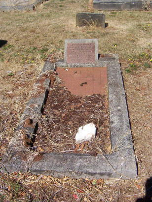 Full-size image