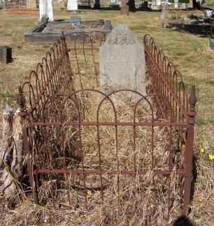 Full-size image