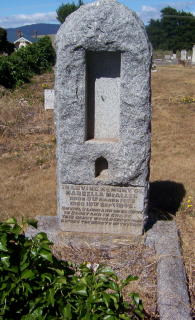Full-size image