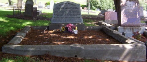 Full-size image