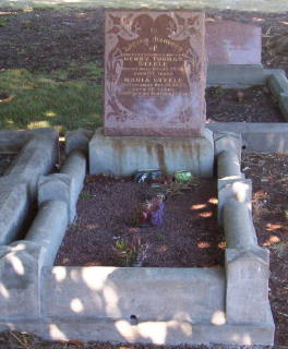 Full-size image