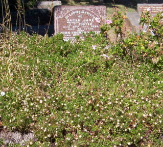 Full-size image