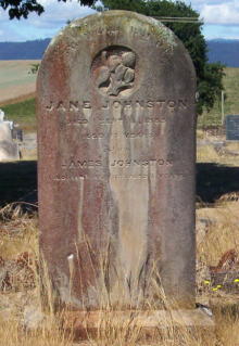 Full-size image