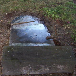 Full-size image