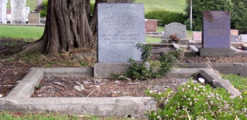 Full-size image