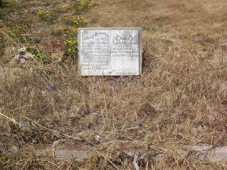 Full-size image