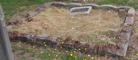 Full-size image