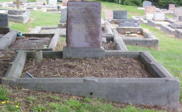 Full-size image