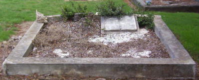 Full-size image