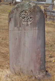 Full-size image