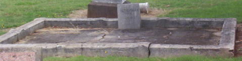 Full-size image