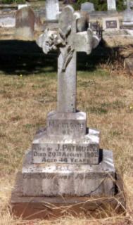Full-size image