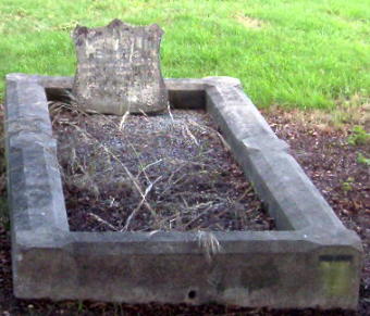 Full-size image