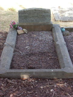 Full-size image