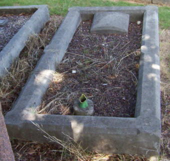 Full-size image