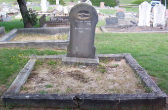Full-size image
