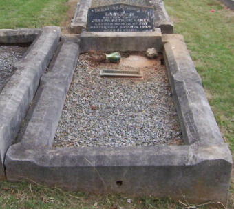 Full-size image