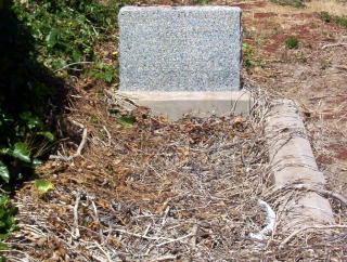 Full-size image