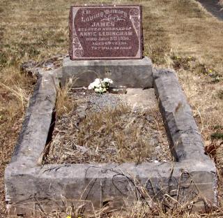 Full-size image