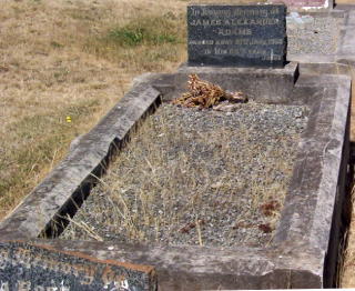 Full-size image