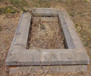 Full-size image