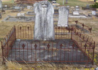 Full-size image