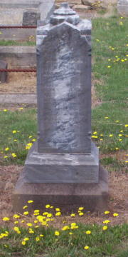 Full-size image
