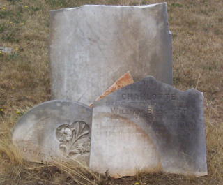 Full-size image