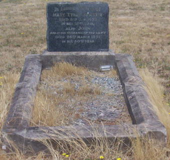 Full-size image